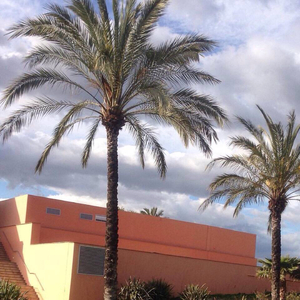 水端麻美无码破解流出
