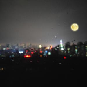 水端麻美无码破解流出
