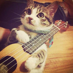 水端麻美无码破解流出
